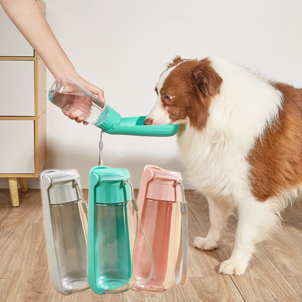 Outdoor Portable Folding Pet Cup